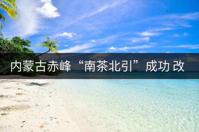內(nèi)蒙古赤峰“南茶北引”成功 改寫本地?zé)o茶歷史