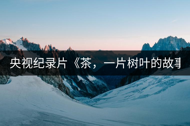 央視紀(jì)錄片《茶，一片樹葉的故事》紀(jì)錄片 昨晚開播