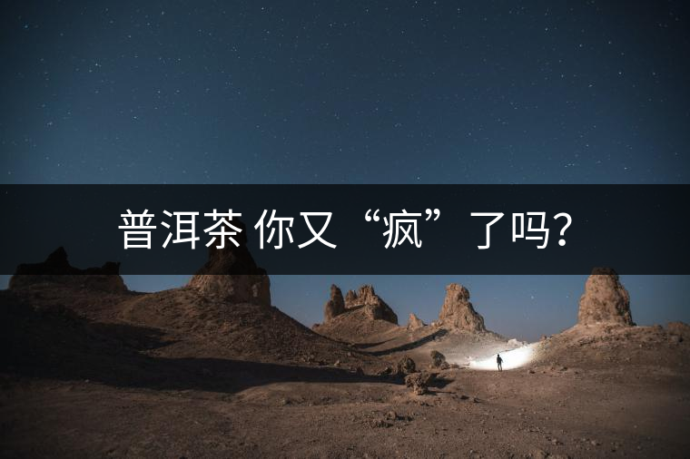 普洱茶 你又“瘋”了嗎？