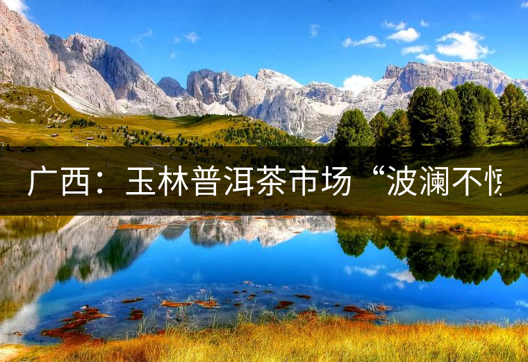 廣西:玉林普洱茶市場(chǎng)“波瀾不驚” 廣西:玉林普洱茶市場(chǎng)“波瀾不驚”