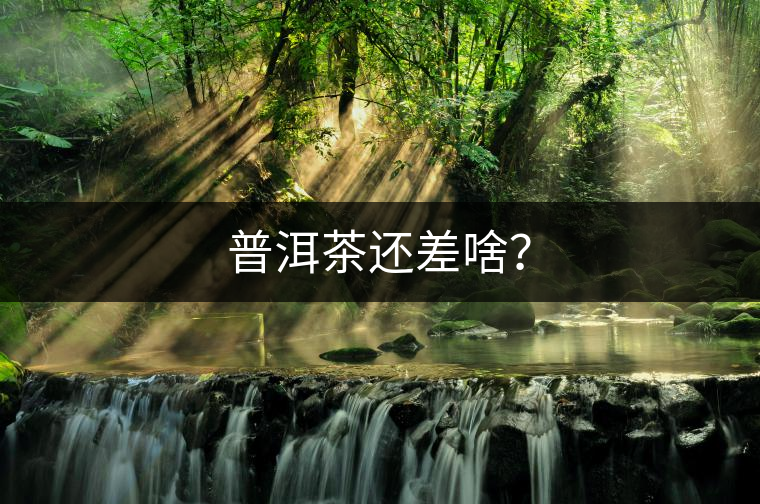 普洱茶還差啥？