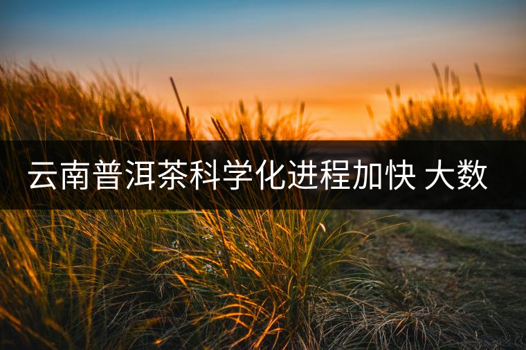 云南普洱茶科學(xué)化進程加快 大數(shù)據(jù)打造茶產(chǎn)業(yè) 云南普洱茶科學(xué)化進程加快 大數(shù)據(jù)打造茶產(chǎn)業(yè)