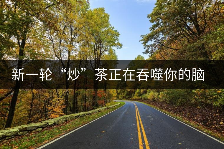 新一輪“炒”茶正在吞噬你的腦子，茶葉收藏不宜提倡