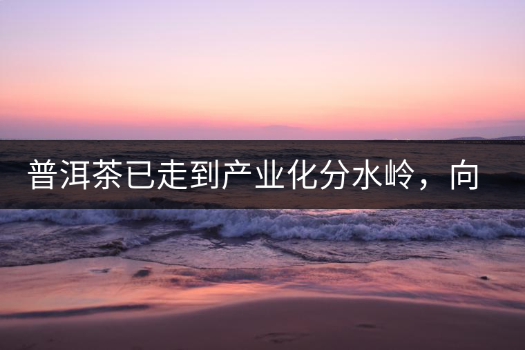 普洱茶已走到產(chǎn)業(yè)化分水嶺，向左還是向右？