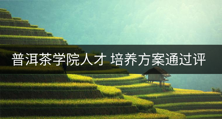 普洱茶學院人才 培養(yǎng)方案通過評審