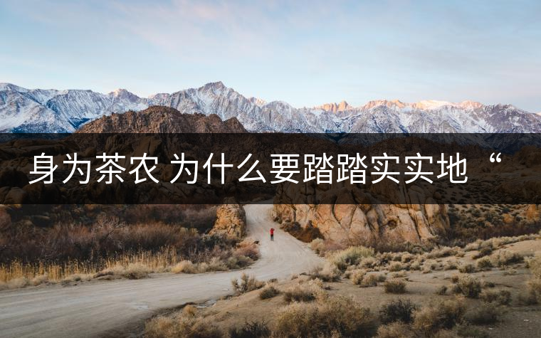 身為茶農(nóng) 為什么要踏踏實實地“放毒”！