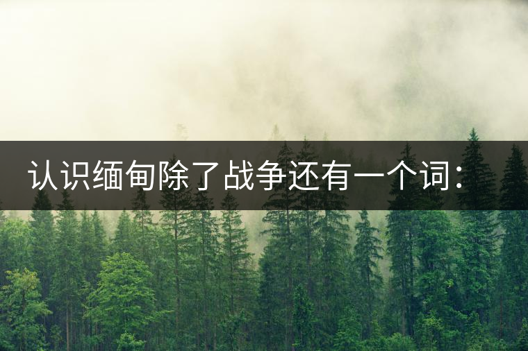 認(rèn)識緬甸除了戰(zhàn)爭還有一個詞:茶 認(rèn)識緬甸除了戰(zhàn)爭還有一個詞:茶