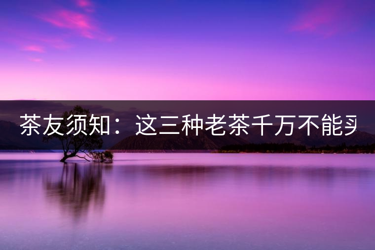 茶友須知：這三種老茶千萬不能買！