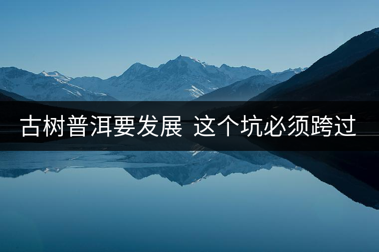古樹普洱要發(fā)展 這個坑必須跨過去 古樹普洱要發(fā)展 這個坑必須跨過去