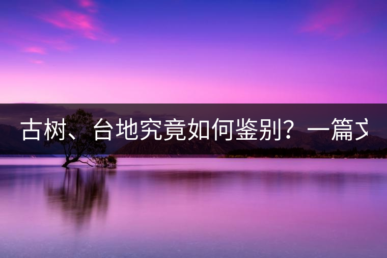 古樹、臺地究竟如何鑒別？一篇文章說透！