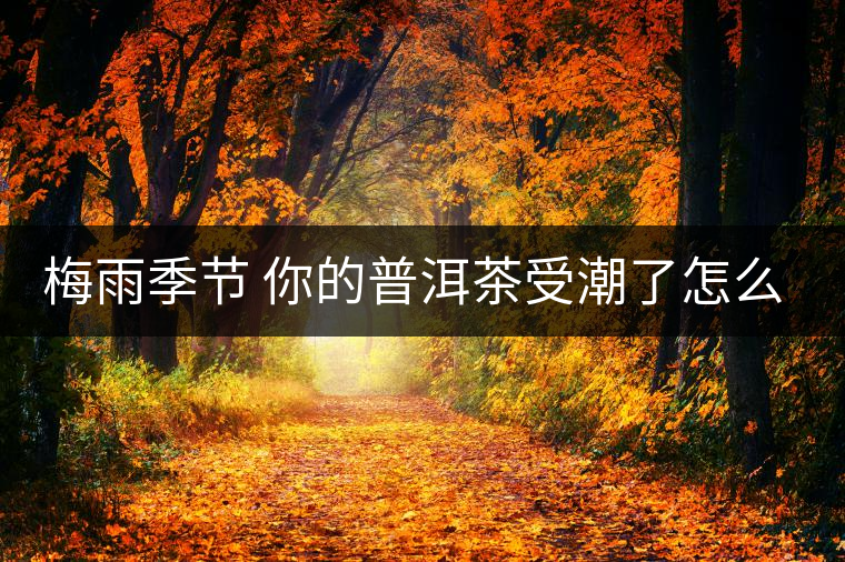 梅雨季節(jié) 你的普洱茶受潮了怎么辦？