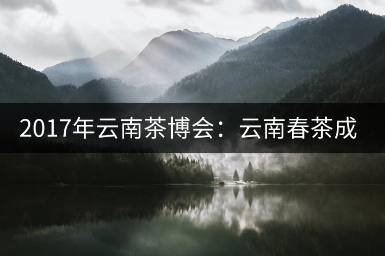 2017年云南茶博會：云南春茶成品茶價格上漲，平均每公斤達(dá)94.31元