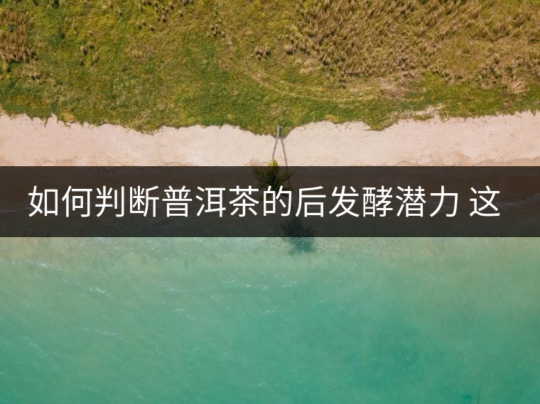 如何判斷普洱茶的后發(fā)酵潛力 這幾個(gè)要素你必須要知道