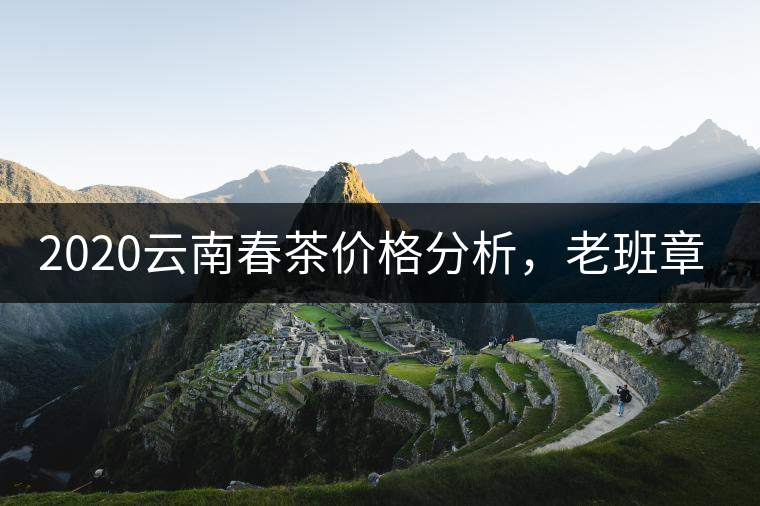2020云南春茶價格分析，老班章依然將獨占鰲頭？
