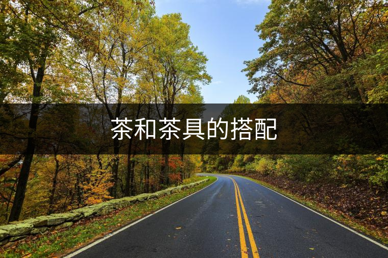 茶和茶具的搭配 茶和茶具的搭配