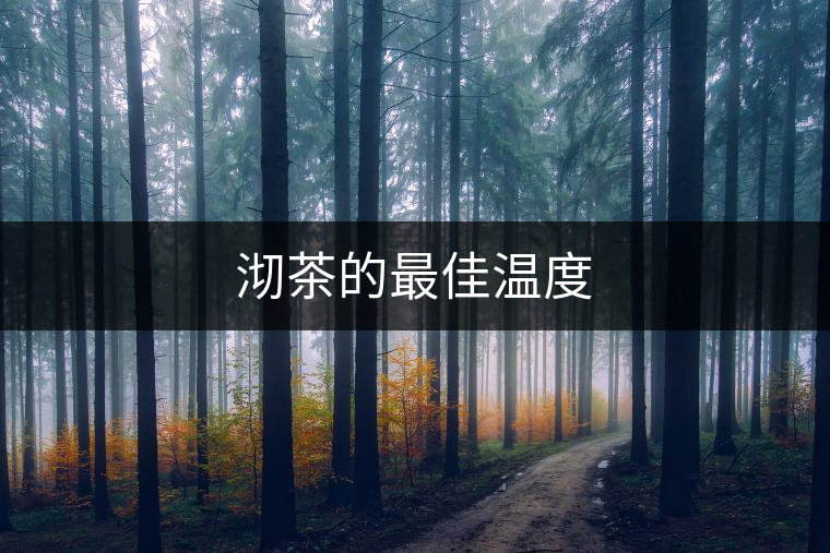 沏茶的最佳溫度