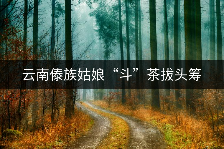 云南傣族姑娘“斗”茶拔頭籌