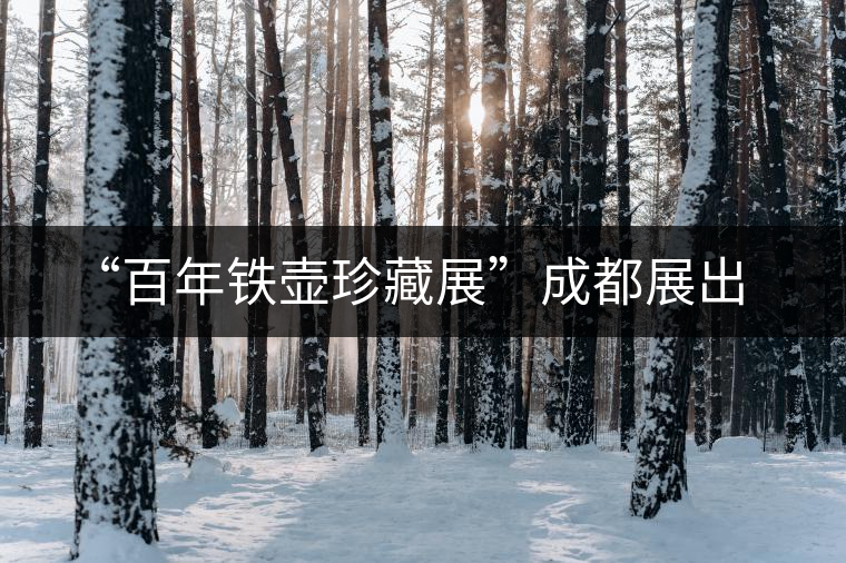 “百年鐵壺珍藏展”成都展出 “百年鐵壺珍藏展”成都展出