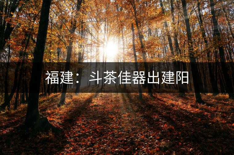福建：斗茶佳器出建陽(yáng)