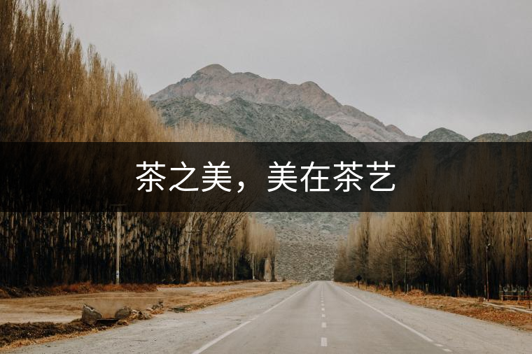 茶之美，美在茶藝