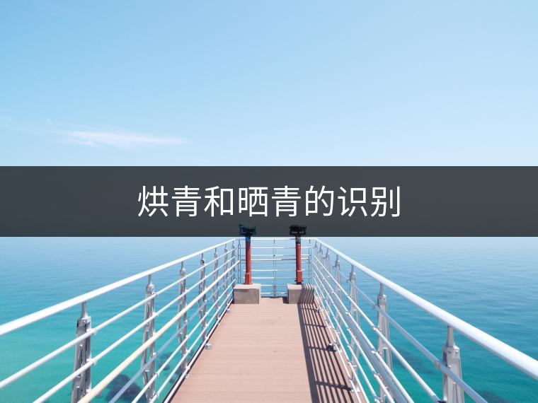 烘青和曬青的識(shí)別 烘青和曬青的識(shí)別