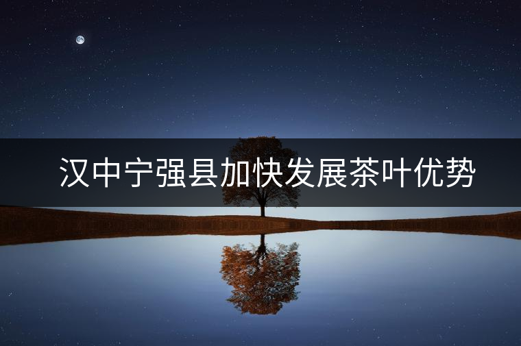 漢中寧強縣加快發(fā)展茶葉優(yōu)勢產業(yè) 漢中寧強縣加快發(fā)展茶葉優(yōu)勢產業(yè)