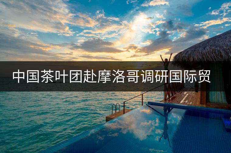中國茶葉團(tuán)赴摩洛哥調(diào)研國際貿(mào)易市場 中國茶葉團(tuán)赴摩洛哥調(diào)研國際貿(mào)易市場