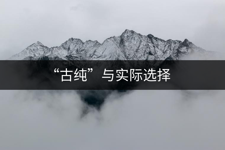 “古純”與實際選擇 “古純”與實際選擇