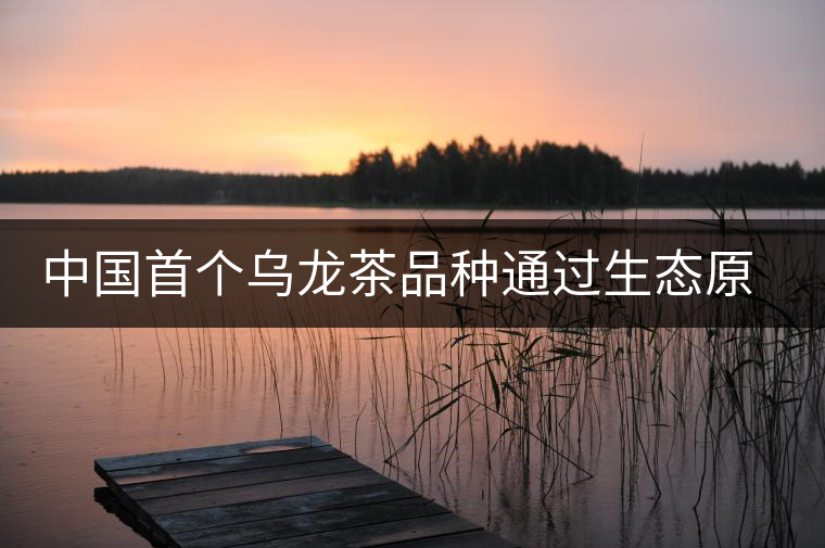 中國首個烏龍茶品種通過生態(tài)原產(chǎn)地產(chǎn)品保護(hù)現(xiàn)場評定 中國首個烏龍茶品種通過生態(tài)原產(chǎn)地產(chǎn)品保護(hù)現(xiàn)場評定