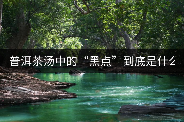 普洱茶湯中的“黑點(diǎn)”到底是什么？