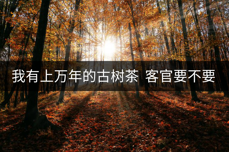 我有上萬年的古樹茶  客官要不要嘗嘗？