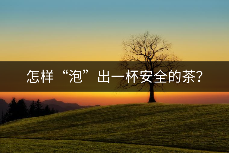 怎樣“泡”出一杯安全的茶？
