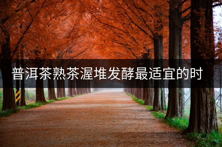 普洱茶熟茶渥堆發(fā)酵最適宜的時(shí)期是什么時(shí)候？