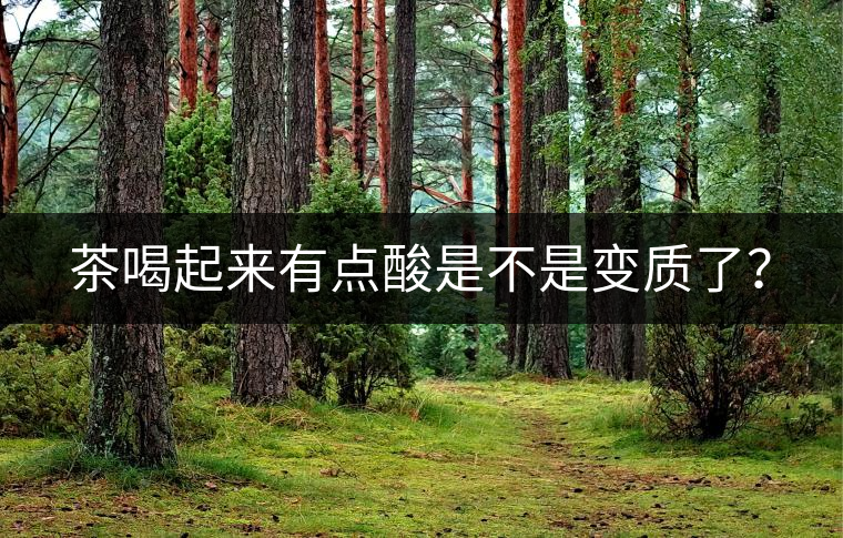 茶喝起來有點酸是不是變質了？