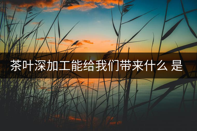 茶葉深加工能給我們帶來什么 是利還是弊呢？