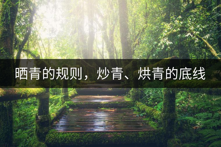 曬青的規(guī)則，炒青、烘青的底線