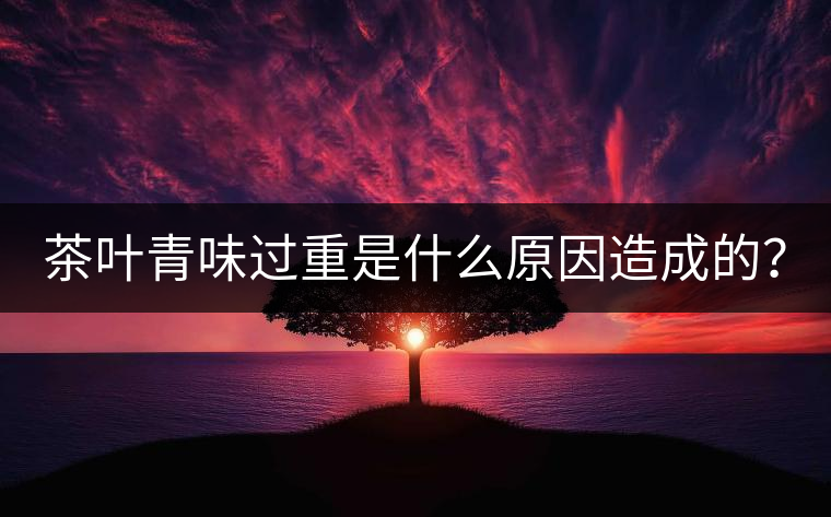 茶葉青味過(guò)重是什么原因造成的？