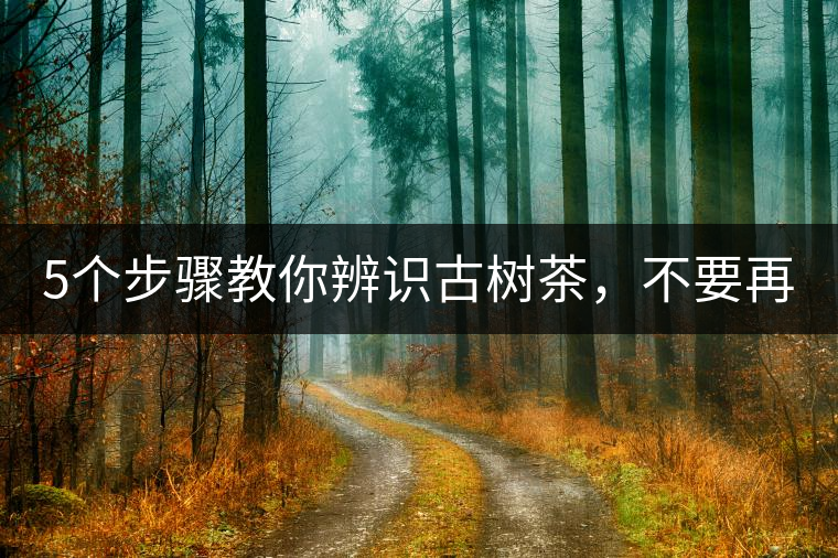 5個(gè)步驟教你辨識古樹茶，不要再被騙了！