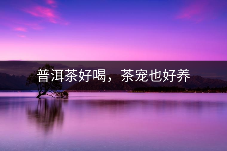 普洱茶好喝,茶寵也好養(yǎng) 普洱茶好喝,茶寵也好養(yǎng)