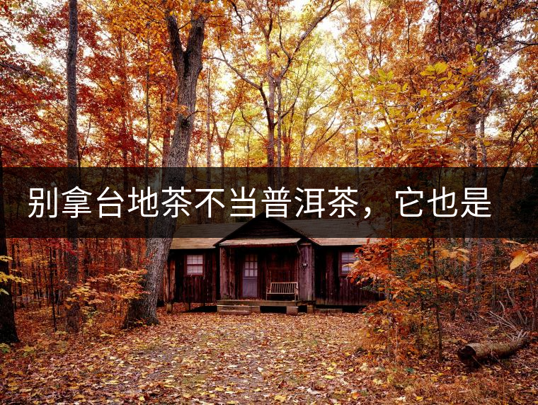 別拿臺地茶不當普洱茶，它也是大葉種喬木