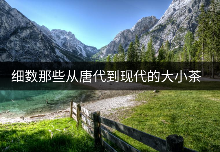 細(xì)數(shù)那些從唐代到現(xiàn)代的大小茶樹 細(xì)數(shù)那些從唐代到現(xiàn)代的大小茶樹