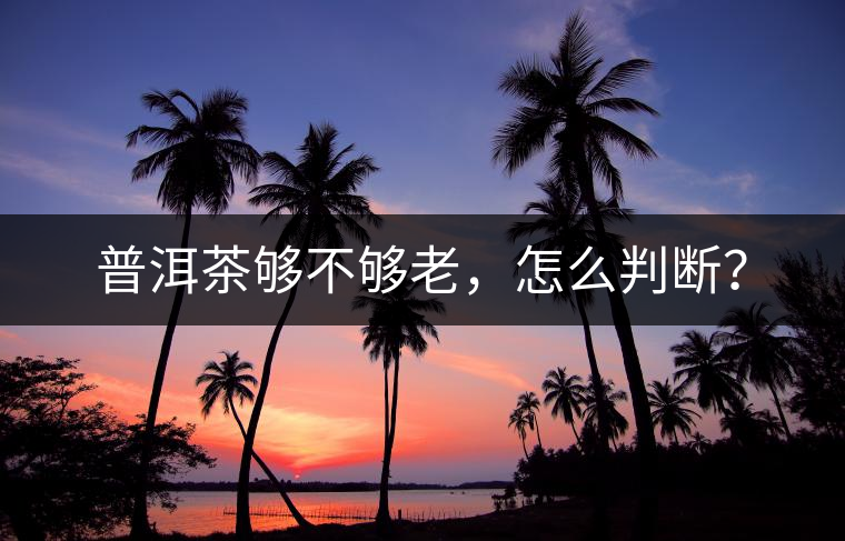 普洱茶夠不夠老，怎么判斷？