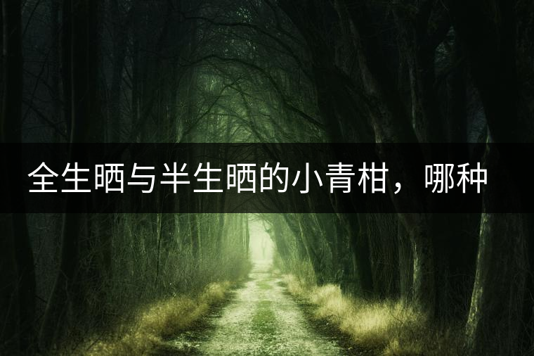 全生曬與半生曬的小青柑，哪種比較好呢？