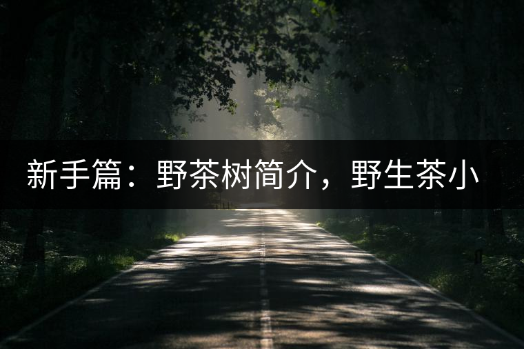 新手篇：野茶樹簡介，野生茶小知識