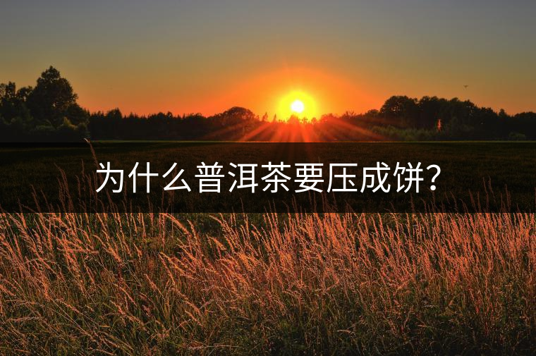 為什么普洱茶要壓成餅？