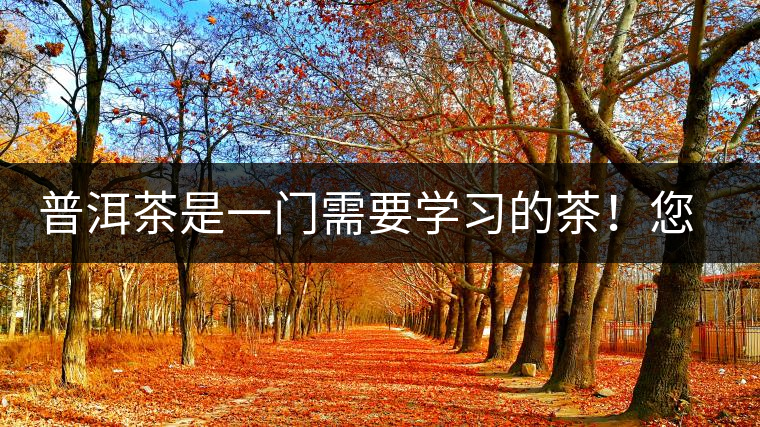 普洱茶是一門需要學(xué)習(xí)的茶!您學(xué)到了多少?看看專家怎么說 普洱茶是一門需要學(xué)習(xí)的茶!您學(xué)到了多少?看看專家怎么說