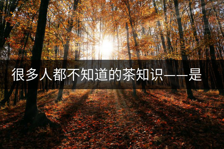 很多人都不知道的茶知識——是什么造就了普洱茶的一山一味？