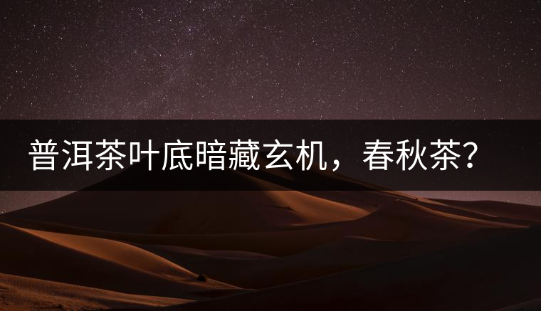 普洱茶葉底暗藏玄機，春秋茶？大樹茶？野生茶？班章料？你讀懂了嗎？