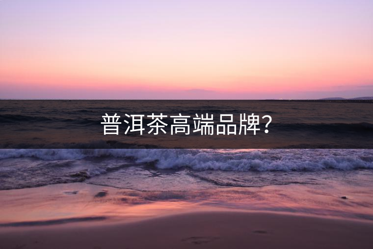 普洱茶高端品牌？
