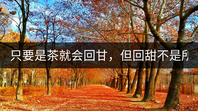 只要是茶就會回甘，但回甜不是所有茶都有！